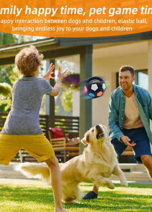 New football tennis ball shaped pet dog toys, durable teething relief to accompany outdoor training squeak toys Dropshipman