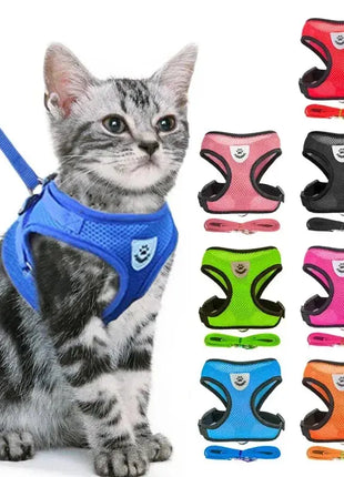 تسخير القطط والكلاب Stone's Store