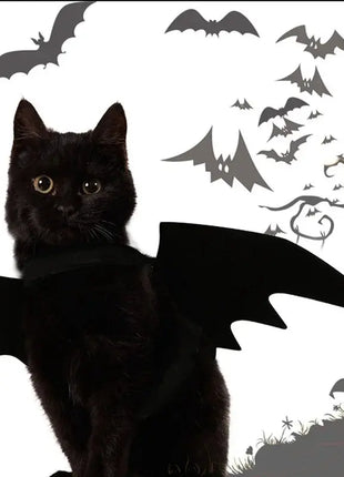 Bat Wings Costume, Small, Black Felt, for Dogs & Cats, Halloween Pet Apparel Stone's Store
