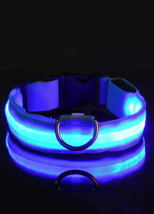 LED Dog Collar – USB Rechargeable, Waterproof & Night Safety Light YUEYUEGOU Store