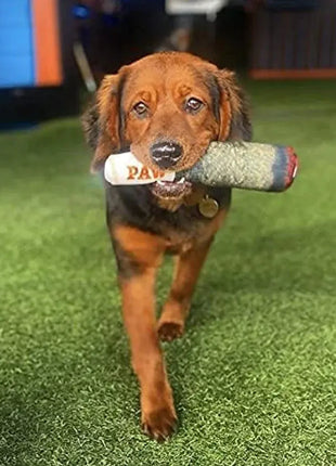 Funny Interactive Dog Toys - Cigar Design Plush Squeaky Pet Toys Grinding Teeth Creative Chew Toy For Small Medium Dog JoyLife Store