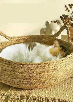Cat Bed Woven Removable Floor Rattan Stone's Store
