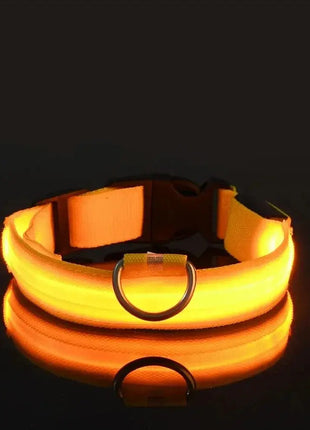 LED Dog Collar – USB Rechargeable, Waterproof & Night Safety Light YUEYUEGOU Store