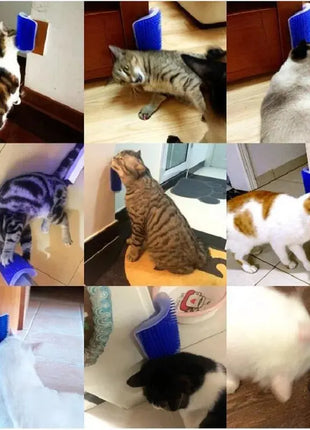 Cat Scratcher Massager for Cats Scratching Pets Brush Remove Hair Comb Grooming Table Dogs Kitten Care Royal Canin Accessories Dropshipman