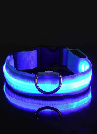LED Dog Collar – USB Rechargeable, Waterproof & Night Safety Light YUEYUEGOU Store