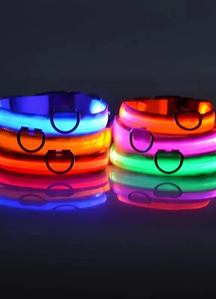 LED Dog Collar – USB Rechargeable, Waterproof & Night Safety Light YUEYUEGOU Store