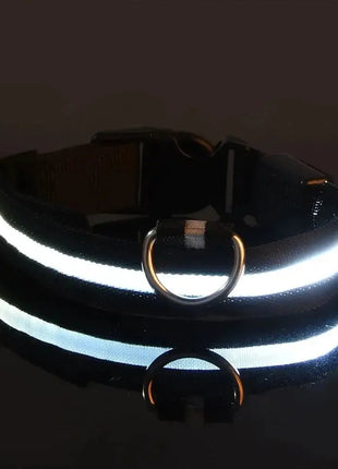 LED Dog Collar – USB Rechargeable, Waterproof & Night Safety Light YUEYUEGOU Store