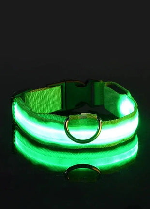 LED Dog Collar – USB Rechargeable, Waterproof & Night Safety Light YUEYUEGOU Store