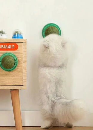 The Catnip Cat Wall Stick-on Ball Toy Scratchers Treats Healthy Natural Removes Balls to Promote Digestion Cat Grass Snack Dropshipman