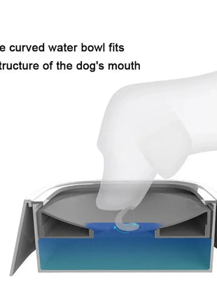 Custom No-Spill Dog Water Bowl – Anti-Overflow Slow Feeder Shop1104055151 Store