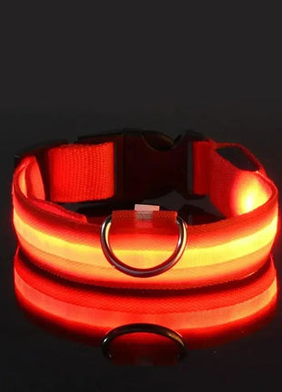 LED Dog Collar – USB Rechargeable, Waterproof & Night Safety Light YUEYUEGOU Store