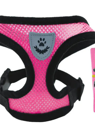 تسخير القطط والكلاب Stone's Store