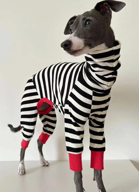 Italian greyhound striped four-legged clothing soft stretchy whippet clothing winter warm dog clothing Dropshipman