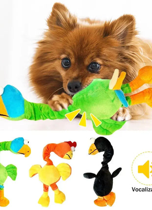 Pets Dog Toys Screaming Chicken Sound Toy Puppy Bite Resistant Chew Toy Interactive Squeaky Dog Toy Puppy Dog Accessories Dropshipman