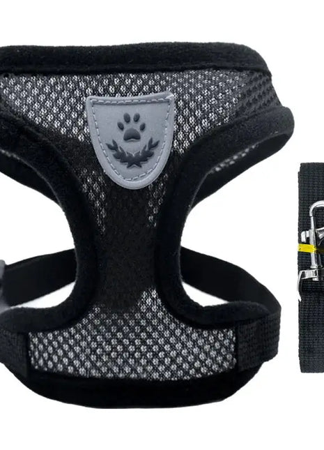 تسخير القطط والكلاب Stone's Store