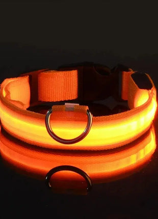 LED Dog Collar – USB Rechargeable, Waterproof & Night Safety Light YUEYUEGOU Store