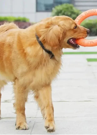 1pc Orange Dog Toys Pet Flying Disk Training Ring Puller EVA Interactive Training Ring Puller Resistant for Dogs Dropshipman