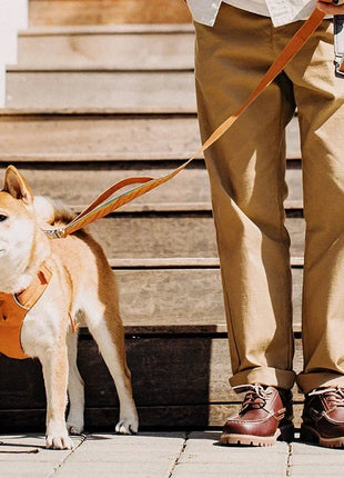 British Style Low-top Leather Boots PfotenSpaß