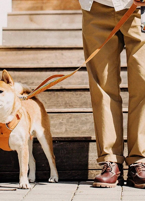 British Style Low-top Leather Boots PfotenSpaß