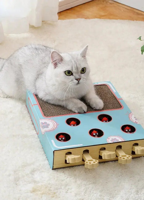 Cat Toy Whack-a-Mole Cat Scratching Board Toy Grinding Claw Rest Play Funny Cat Interactive Multifunctional Cat Supplies Dropshipman