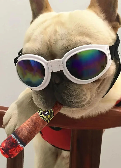 1pc- simulation cigar toy for pets to chew their molars to relieve boredom Dropshipman