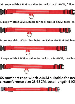 LED Dog Collar – USB Rechargeable, Waterproof & Night Safety Light YUEYUEGOU Store