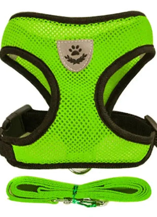 تسخير القطط والكلاب Stone's Store