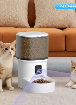 4L USB Smart Button WIFI APP Video Pet Feeder Automatic Cat Food Dispenser Bowl Dog Slow Food Feeder With Timed Camera Feeder Dropshipman