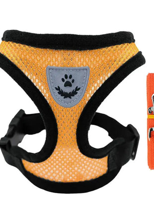 تسخير القطط والكلاب Stone's Store