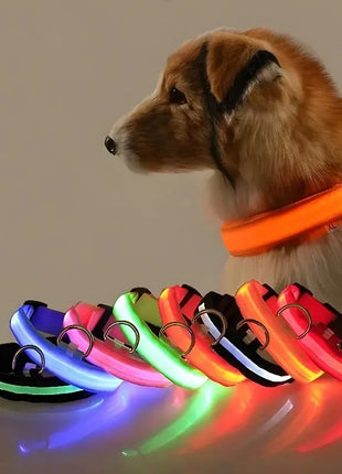 LED Dog Collar – USB Rechargeable, Waterproof & Night Safety Light YUEYUEGOU Store