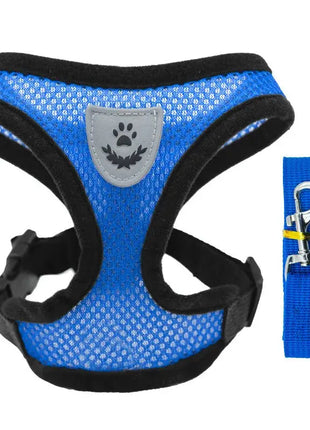 تسخير القطط والكلاب Stone's Store