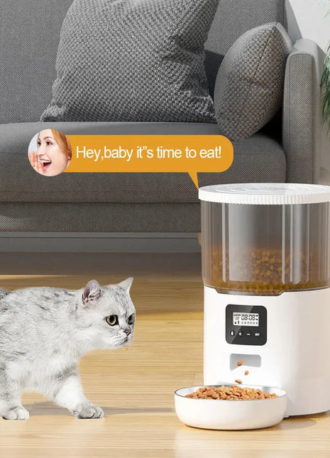 4L Pet Feeder Tuya WIFI Automatic Dog Food Dispenser Smart Cat Feeder 2L Cat Automatic Drinking Fountain Dog Water Feeder Dropshipman