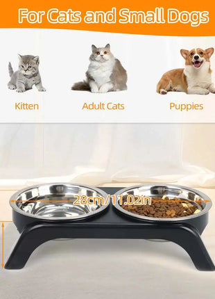 Elevated Pet Bowl with Two Stainless Steel Bowls—Perfect for Small and Medium-Sized Dogs and Cats Dropshipman