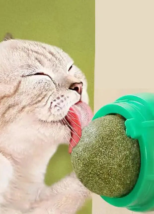 The Catnip Cat Wall Stick-on Ball Toy Scratchers Treats Healthy Natural Removes Balls to Promote Digestion Cat Grass Snack Dropshipman