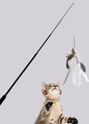 Extended telescopic cat stick 1.8m extra long fishing rod resistant to scratching feather cat toys to relieve boredom Dropshipman