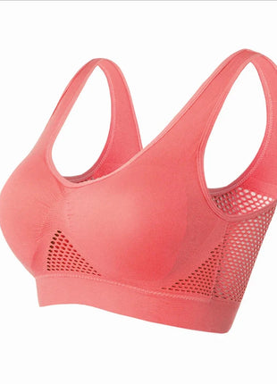 Seamless Mesh Sports Bras Sportswear Zone Store