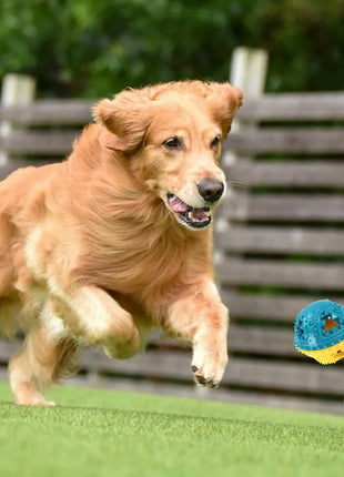 Dog Chew Toys Grinding Teeth Sound Ball Toys Leaking Food Balls Anti Bite Interactive Training Cleaning Teeth Toys Pet Products Dropshipman