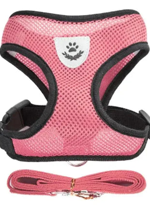 تسخير القطط والكلاب Stone's Store