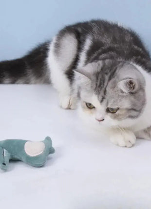 Pet Molar Bite toy Cartoon Stuffed Animal Cute Plush Cat Chew Toy Interactive Pets Toys For Cat YimoPet Store