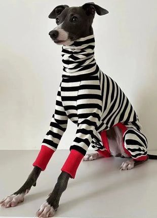 Italian greyhound striped four-legged clothing soft stretchy whippet clothing winter warm dog clothing Dropshipman