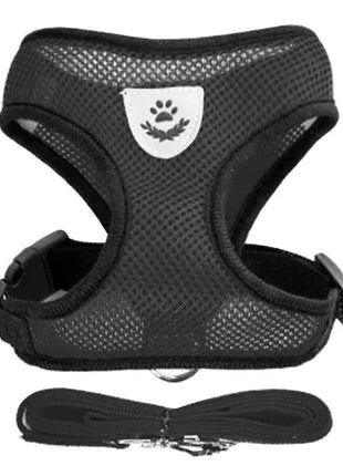 تسخير القطط والكلاب Stone's Store