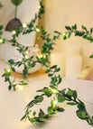 5-Twocolor lvy vine / 5M 50LED-Battery