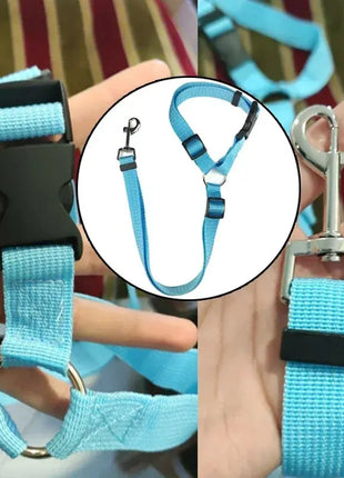 Solid Color Two-in-one Pet Car Seat Belt Nylon Lead Leash Backseat Safety Belt Adjustable Dogs Harness Collar Pet Accessories Dropshipman