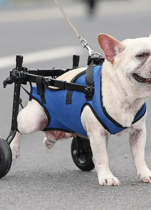 1Pcs Pet Wheelchair Cart Adjustable Pet Cat Dog Rehabilitation Walking Wheels Aids Mobility Assistance Light Pet Walk Tools Dropshipman