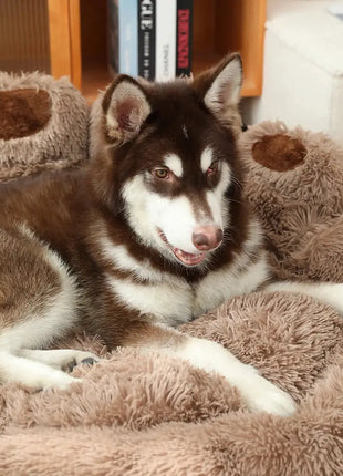 Dog Bed VIP Link Dropshipman