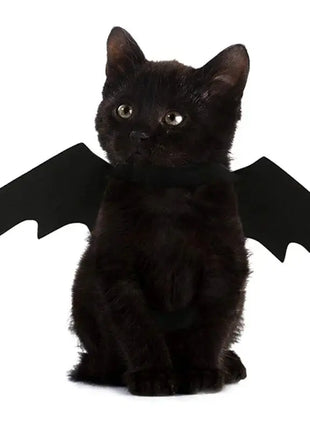 Bat Wings Costume, Small, Black Felt, for Dogs & Cats, Halloween Pet Apparel Stone's Store