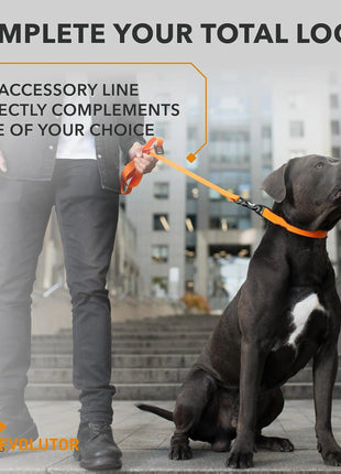 Orange Extra Heavy Duty Dog Leash 4 Ft x 1 in for Large Medium and Small Dogs Yousef