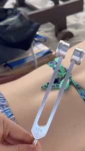 ضبط مجموعة الطب Stone's Store