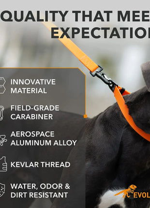 Orange Extra Heavy Duty Dog Leash 4 Ft x 1 in for Large Medium and Small Dogs Yousef