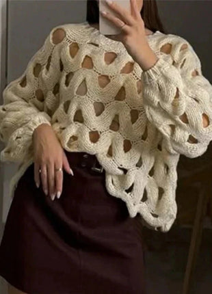 Long Sleeve Crochet Knit Sweater Aestheticism Store